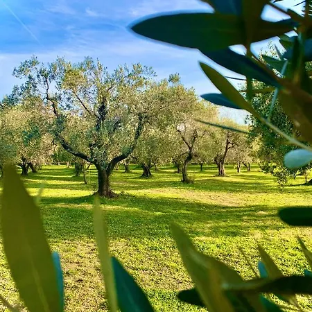Bed & Breakfast Podere Al Fico